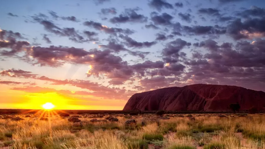 Съпротивата на фермерите затруднява преминаването на една страна към възобновяема енергия