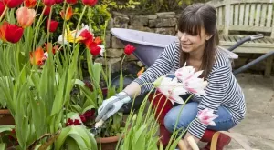 2023/05/02/0820424001683026513