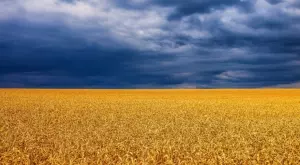 ЕС обмисля достъп до SWIFT за руска банка, за да съхрани зърнената сделка