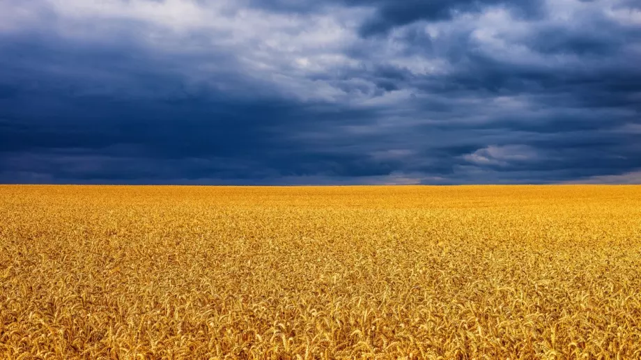 ЕС търси как да превозва повече украинско зърно със сухопътен транспорт