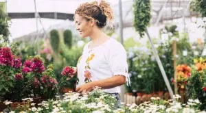 5 съвета как да изберете здрав и хубав разсад