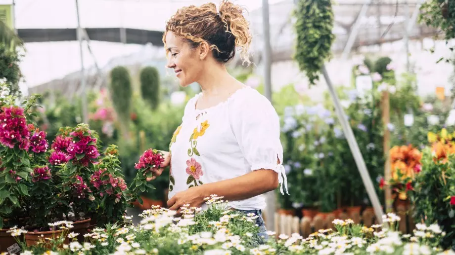 5 съвета как да изберете здрав и хубав разсад