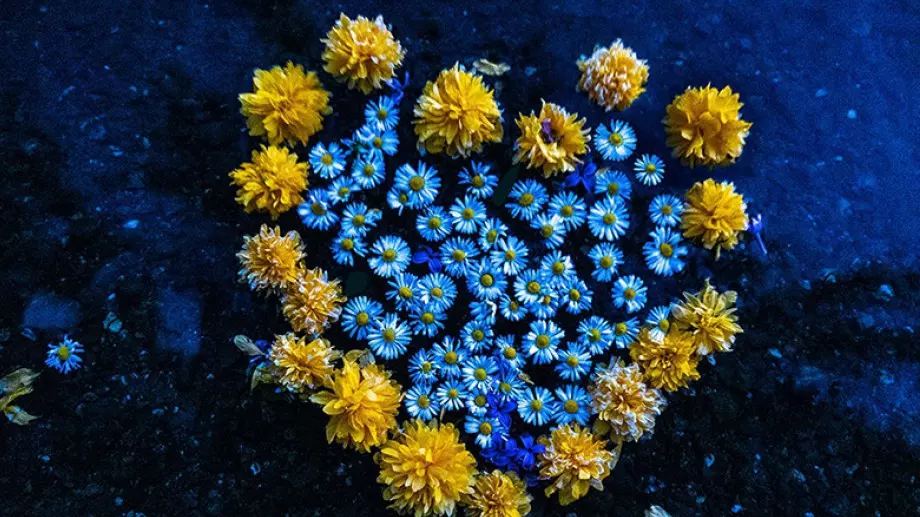 Изложбата "Сърцето на природата" се мести на друго място в София