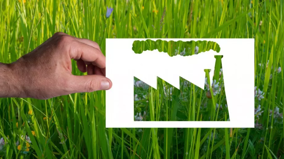 Банки и компании в ЕС заблуждават, че защитават околната среда