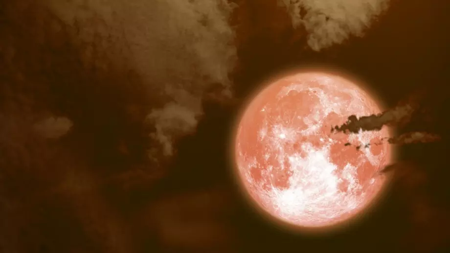 Съвет на деня за всяка зодия според фазата на Луната - 31 октомври 2023