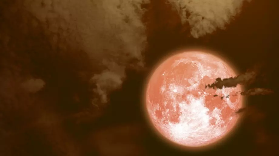 Съвет на деня за всяка зодия според фазата на Луната - 14 ноември 2023