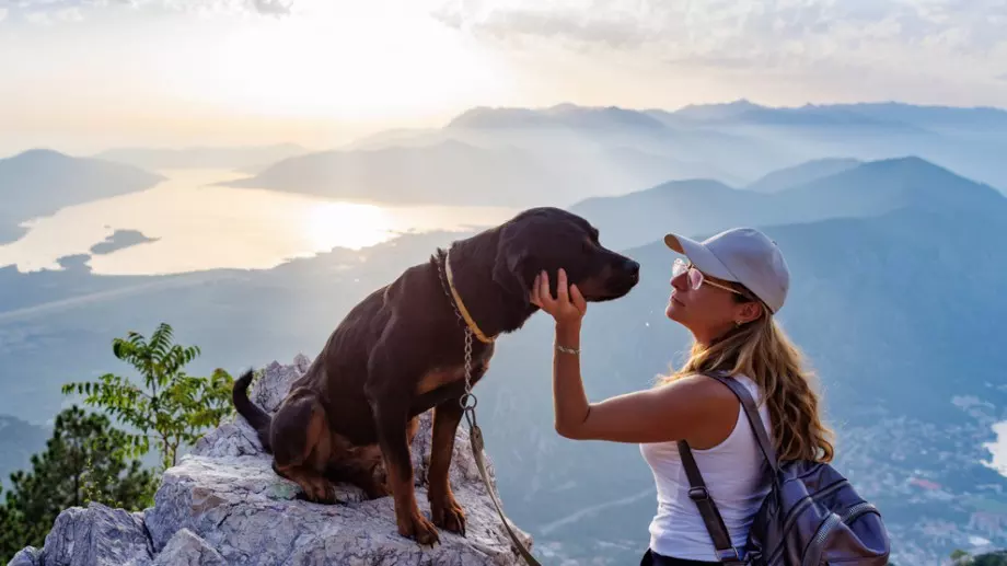 Късметче за всяка зодия за 10 юни 2023