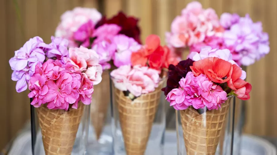 Направи си сама: Ефектна декорация с цветове от мушкато (СНИМКИ)