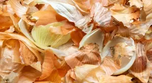 Жесток домашен тор от люспи на лук