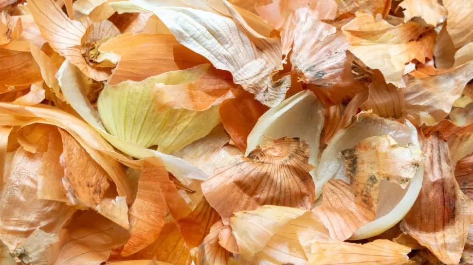 Жесток домашен тор от люспи на лук