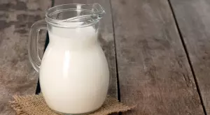 Как да използвате прясно мляко като естествена тор