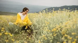 Еньовден 2023: Традиции, поверия и билките, които трябва да наберете