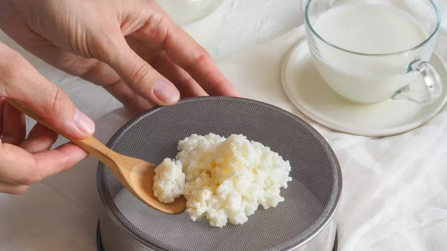 "Морски ориз": Тибетското чудо за здраве и дълголетие