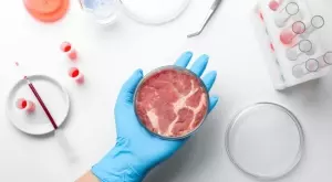 Производител на лабораторно месо иска да стъпи и на европейския пазар през Швейцария