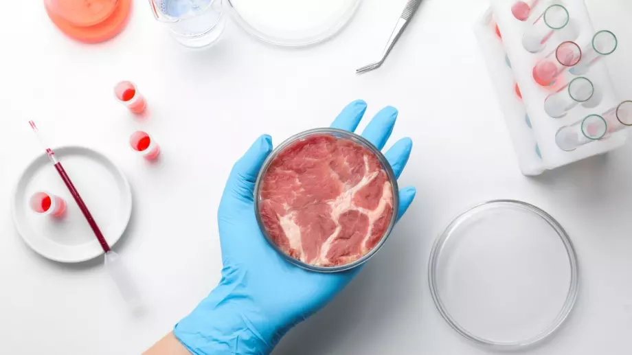 Производител на лабораторно месо иска да стъпи и на европейския пазар през Швейцария