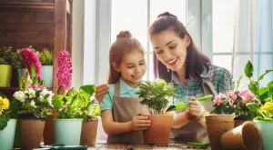 Тези 3 цветя ще премахнат лошата миризма от дома ви