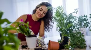 7 стайни растения със супер сили, които трябва да имате в дома си