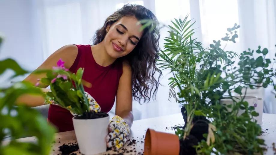 Тези 5 растения ще донесат щастие в живота ви