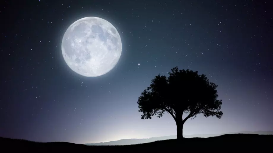 Пълнолуние е. Ето какъв съвет Луната иска да даде на всяка зодия: