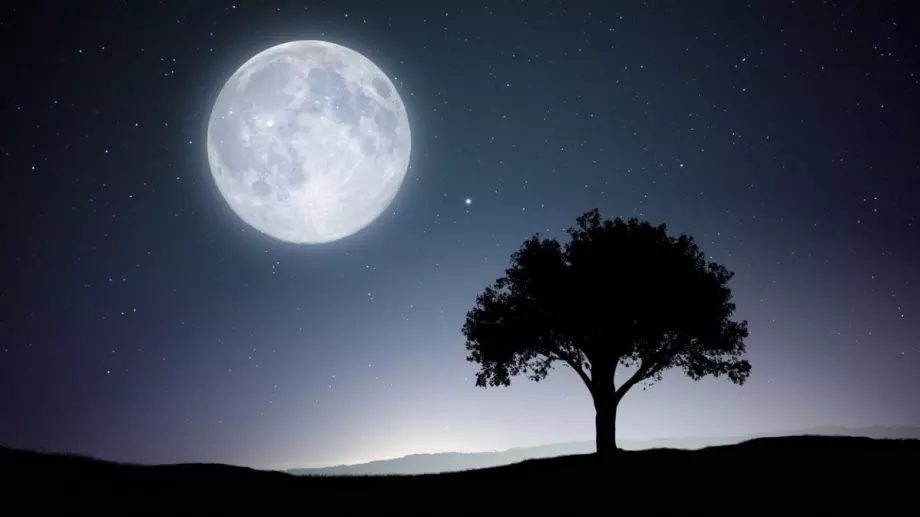 СЪВЕТ на деня за всяка зодия според фазата на Луната - 19 октомври 2023