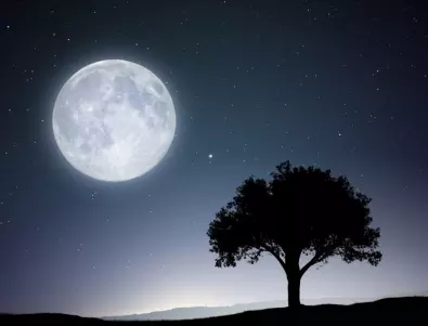 Луната ти дава Съвет според нейната Фаза - 22 декември 2023