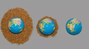 Световният индекс на цените на храните тръгна нагоре през юли заради растителните масла