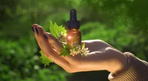 Този природен еликсир е спасение за болни крака, помага при разширени вени и отоци