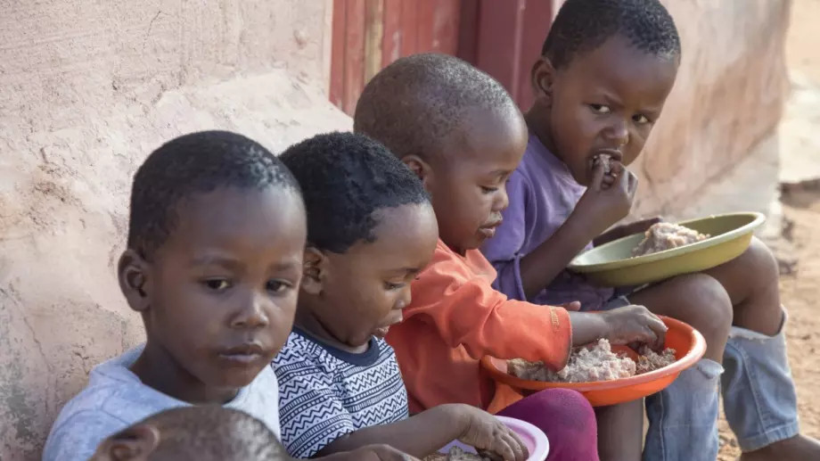 ООН: Около 783 млн. души по света не знаят кога и дали изобщо ще могат да се хранят отново