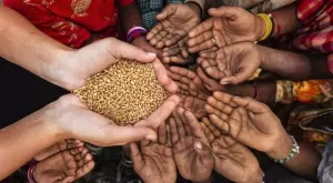 Среща на върха на ООН: Все повече хора по света гладуват, а близо 1/3 от храната в света се разхищава
