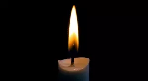 Отиде си най-старото куче на света (СНИМКА)