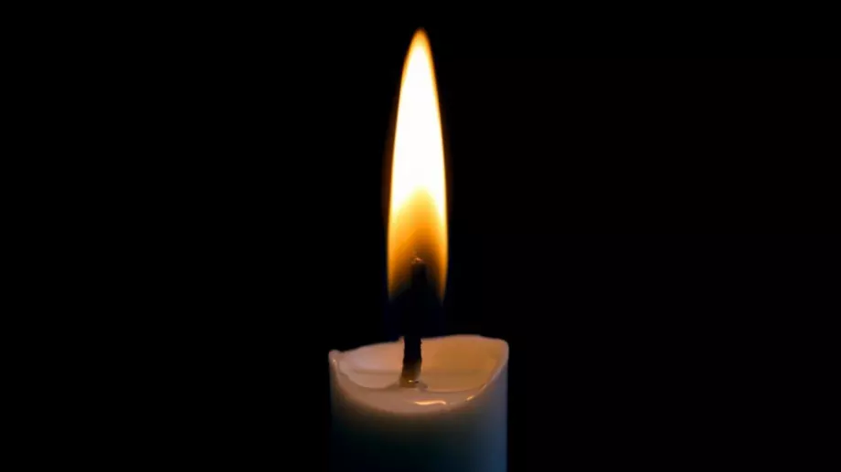 Отиде си най-старото куче на света (СНИМКА)