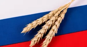 Русия обещава безплатни доставки на зърно за нуждаещи се държави