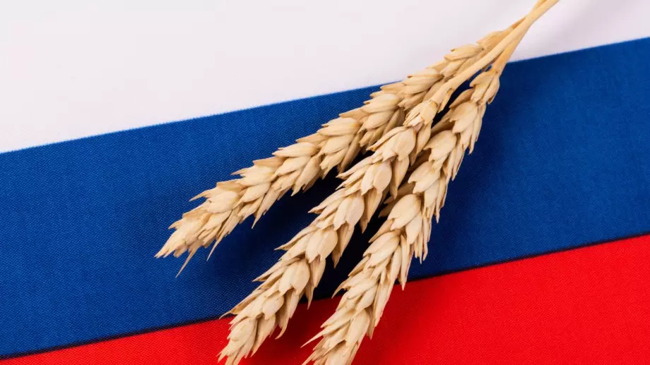 Русия обещава безплатни доставки на зърно за нуждаещи се държави