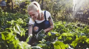 8 невероятни употреби на оцета в градината