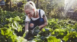 Защо трябва да тествате pH на вашата почва и как да го правите