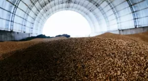 Български фермерски съюз алармира: Пазарът на българско зърно тотално замря, липсват сделки за износ