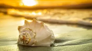 Стихотворение за 9 септември 2023