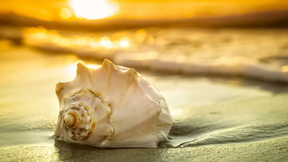 Стихотворение за 9 септември 2023