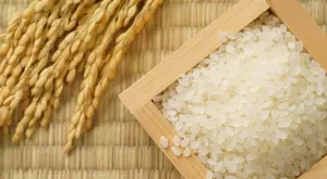 След свиването на износа от Индия: Цените на ориза достигнаха 3-годишен връх