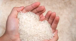 Каква е разликата между ориз Жасмин и Басмати