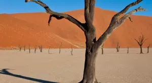 Климатичното финансиране ще е основна тема на конференцията COP28