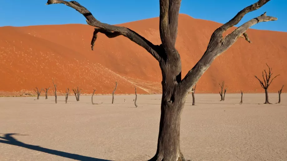 Климатичното финансиране ще е основна тема на конференцията COP28