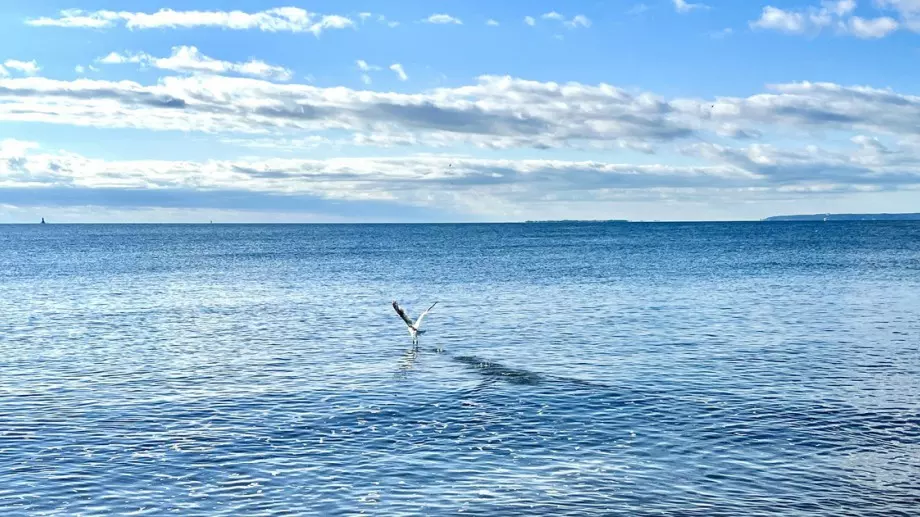 Стихотворение за 16 август 2023