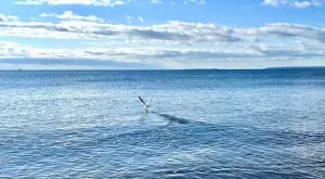 Стихотворение за 16 септември 2023