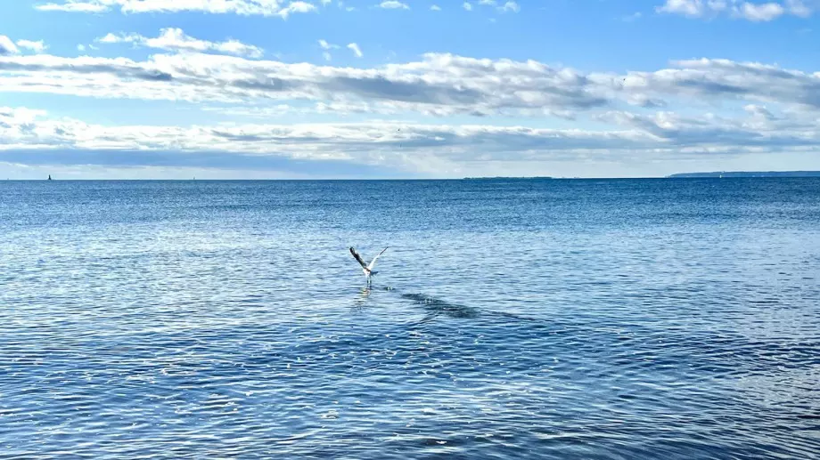 Стихотворение за 16 септември 2023