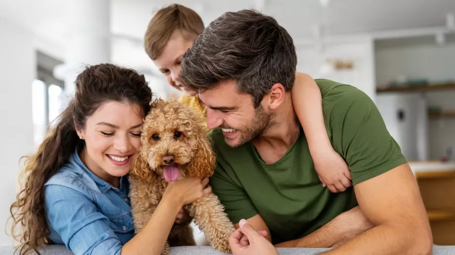 Виц на деня: Тате, искам куче!