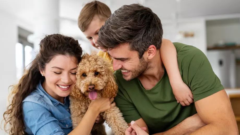 Дресьор: Това са 5-те най-чести причини кучето да не ви слуша