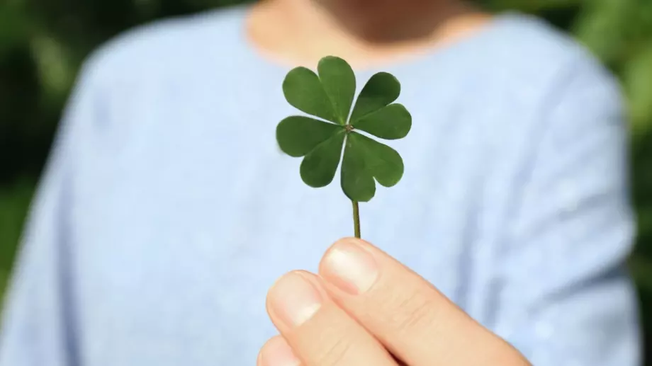 Изберете си число от 1 до 9. Вижте какво КЪСМЕТЧЕ се крие зад него.