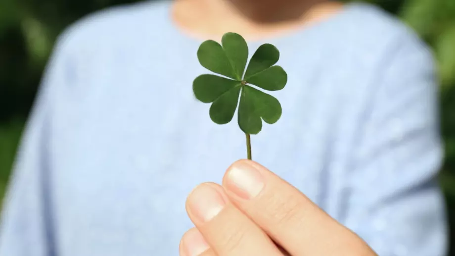 Посочете случайно число от 1 до 13. Сега вижте какво КЪСМЕТЧЕ ви дава ВСЕЛЕНАТА: