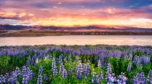 Според Глобалния индекс на мира: Кои са 10-те най-безопасни ваканционни дестинации?